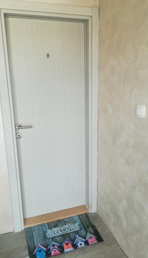 נובי סאד Zen Apartmani מראה חיצוני תמונה