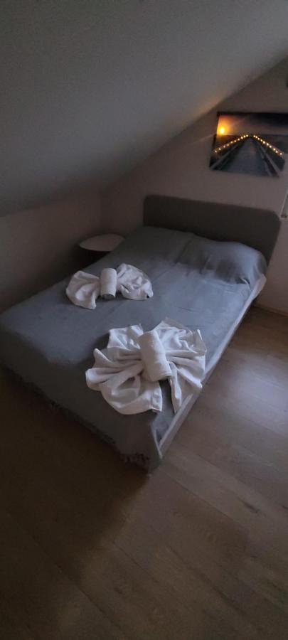 נובי סאד Zen Apartmani מראה חיצוני תמונה