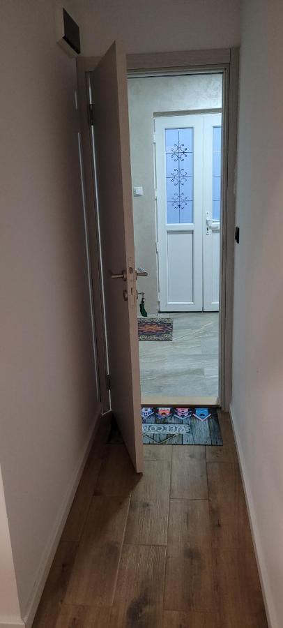 נובי סאד Zen Apartmani מראה חיצוני תמונה